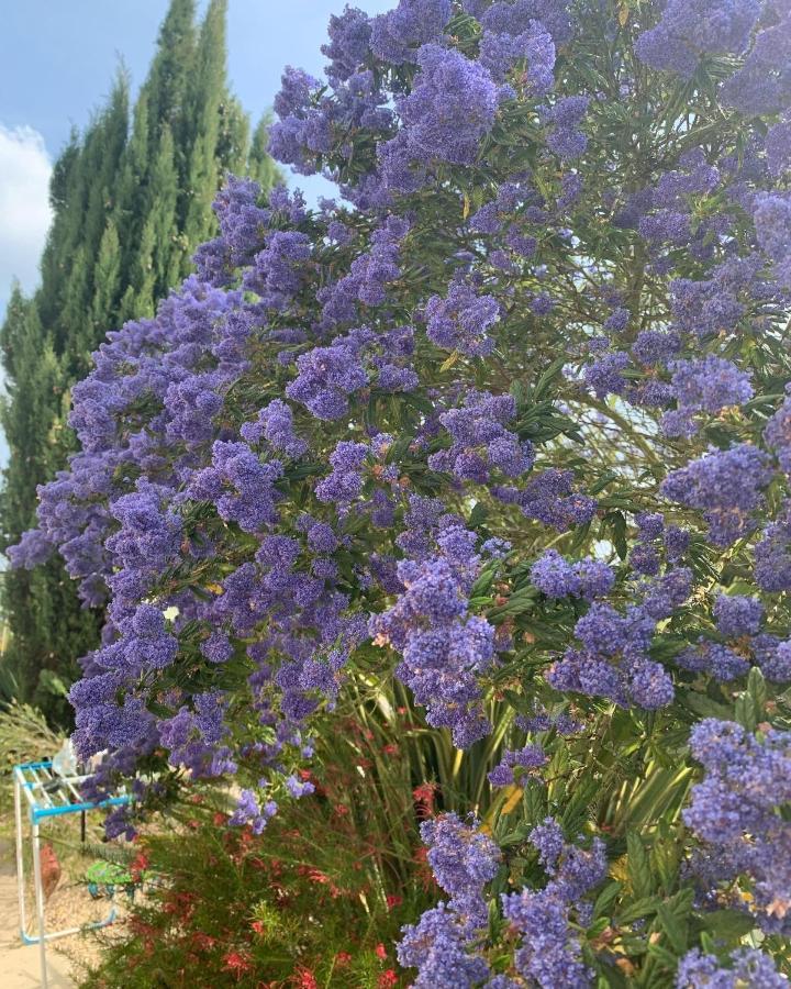 Ecole De Mathuna De Marigny Brizay Dış mekan fotoğraf